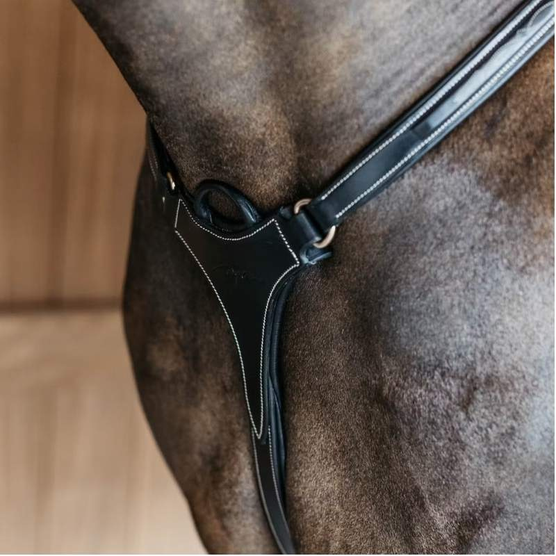 5-Punts Borsttuig Elastic Dyon Collection Zwart