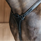 5-Punts Borsttuig Elastic Dyon Collection Zwart 5-Punts Borsttuig Elastic Dyon Collection Zwart