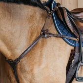 5-Punts Borsttuig Elastic Dyon Collection Bruin 5-Punts Borsttuig Elastic Dyon Collection Bruin