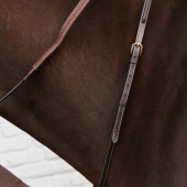 Martingaal Soft Bib Dyon Collection Bruin Martingaal Soft Bib Dyon Collection Bruin