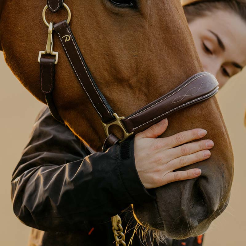 Verzorgingshalster Artificial Leather Anatomic DC Bruin