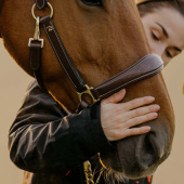 Verzorgingshalster Artificial Leather Anatomic DC Bruin Verzorgingshalster Artificial Leather Anatomic DC Bruin