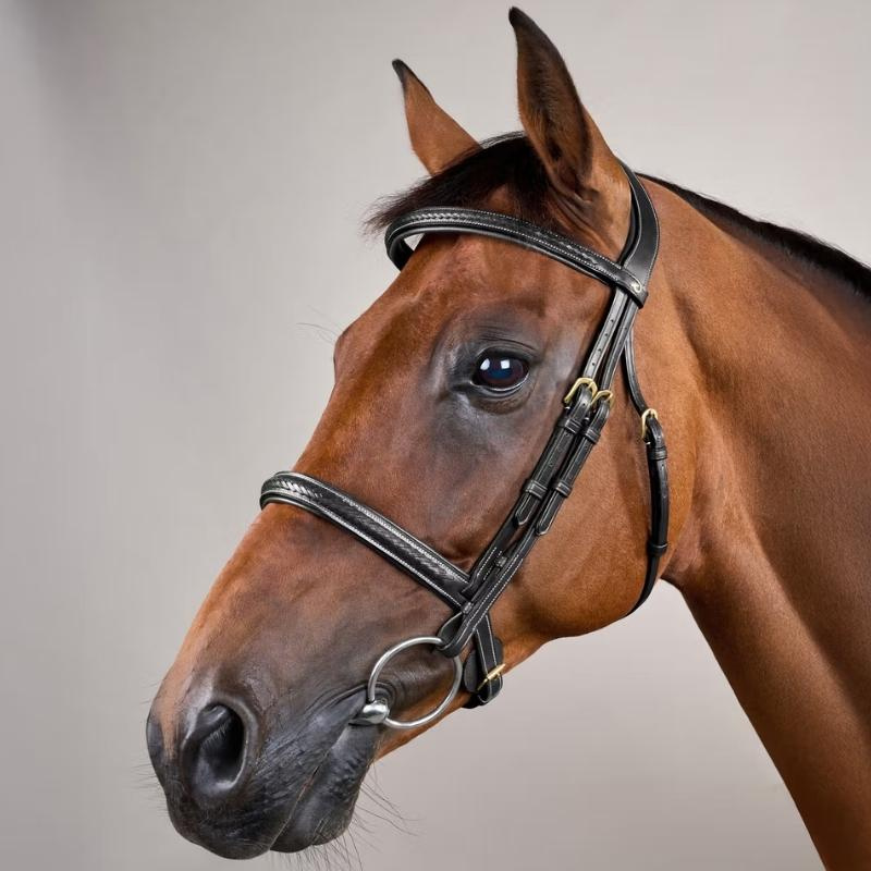 Hoofdstel zonder Sperriem Plaited Dyon Collection Zwart
