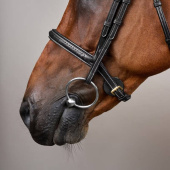 Hoofdstel zonder Sperriem Plaited Dyon Collection Zwart Hoofdstel zonder Sperriem Plaited Dyon Collection Zwart