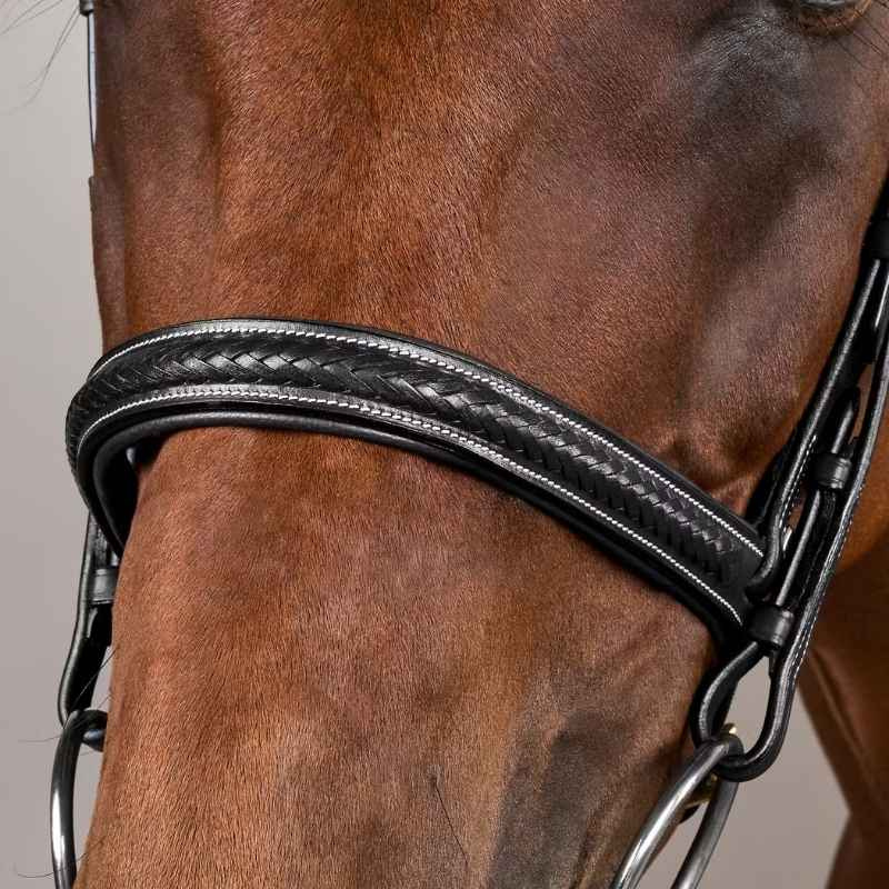 Hoofdstel zonder Sperriem Plaited Dyon Collection Zwart