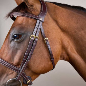 Hoofdstel zonder Sperriem Plaited Dyon Collection Bruin Hoofdstel zonder Sperriem Plaited Dyon Collection Bruin