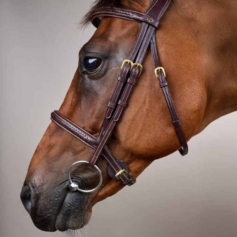 Hoofdstel zonder Sperriem Plaited Dyon Collection Bruin