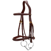 Hoofdstel zonder Sperriem Plaited Dyon Collection Bruin Hoofdstel zonder Sperriem Plaited Dyon Collection Bruin