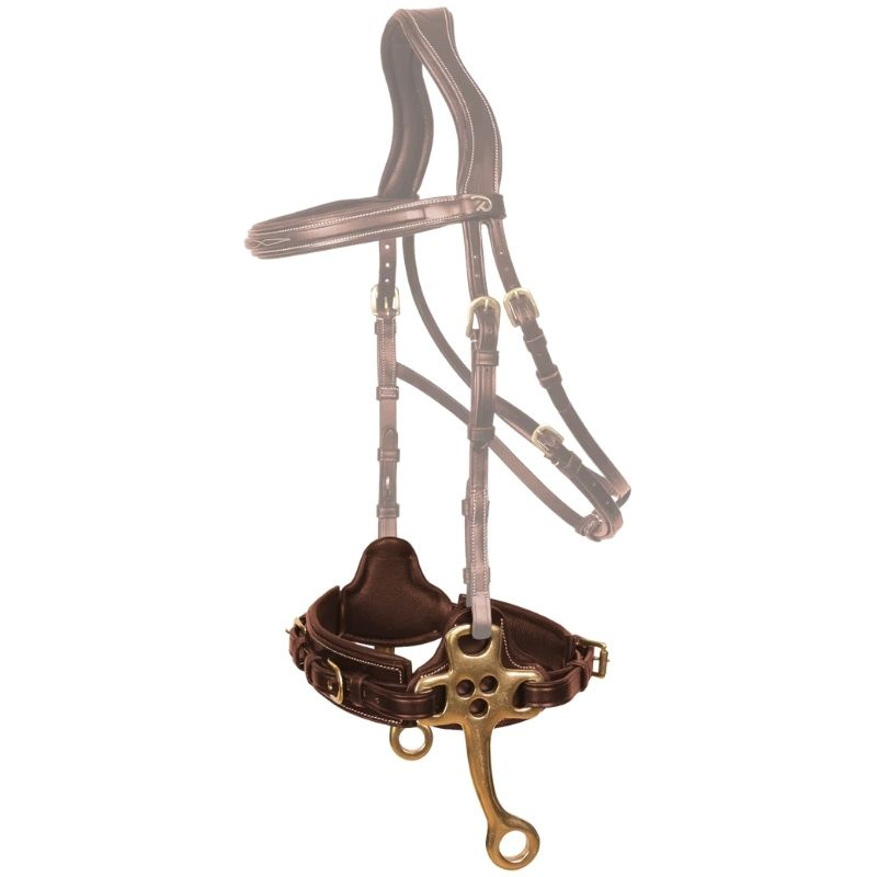Hackamore Dyon Collection Bruin
