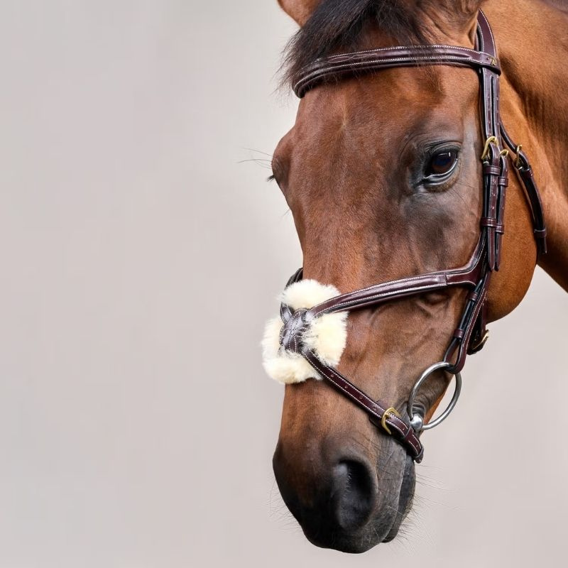 Hoofdstel Mexicaanse Neusriem Dyon Collection Bruin