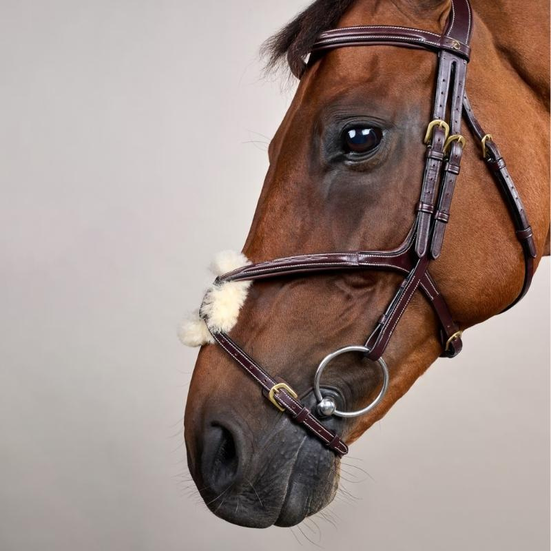 Hoofdstel Mexicaanse Neusriem Dyon Collection Bruin