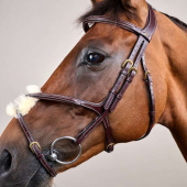 Hoofdstel Mexicaanse Neusriem Dyon Collection Bruin Hoofdstel Mexicaanse Neusriem Dyon Collection Bruin