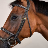 Hoofdstel Dubbele Neusriem Dyon Collection Zwart Hoofdstel Dubbele Neusriem Dyon Collection Zwart