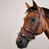 Hoofdstel Dubbele Neusriem Dyon Collection Bruin Hoofdstel Dubbele Neusriem Dyon Collection Bruin