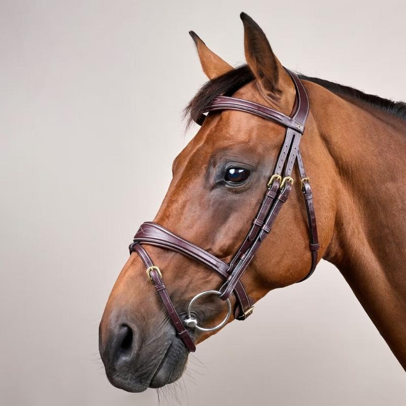 Hoofdstel Anatomisch Gecombineerd Hoofdstel DC Bruin