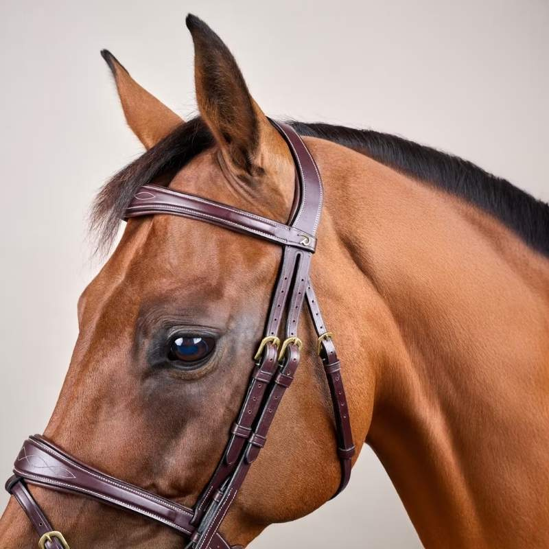 Hoofdstel Anatomisch Gecombineerd Hoofdstel DC Bruin