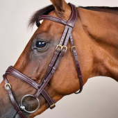 Hoofdstel Anatomisch Gecombineerd Hoofdstel DC Bruin Hoofdstel Anatomisch Gecombineerd Hoofdstel DC Bruin