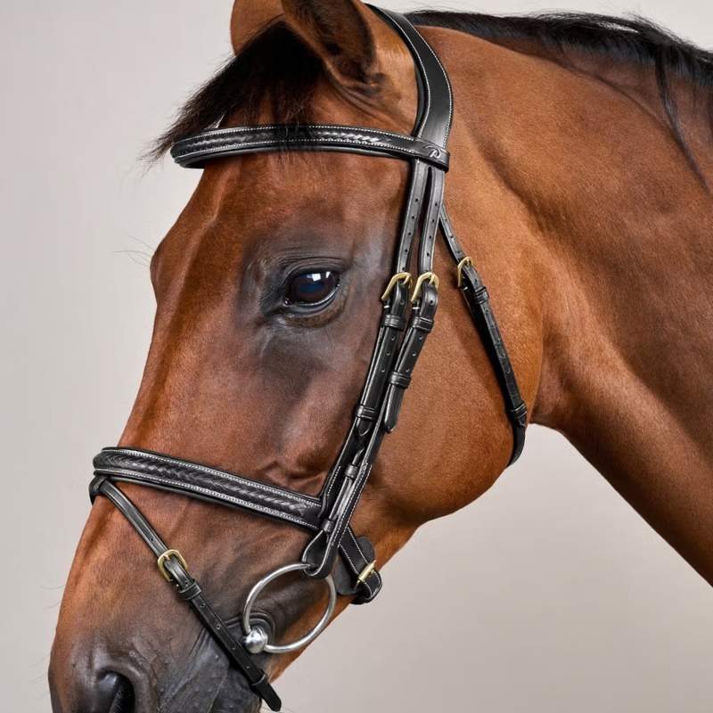 Hoofdstel Gecombineerde Neusriem Plaited Dyon Collection Zwart