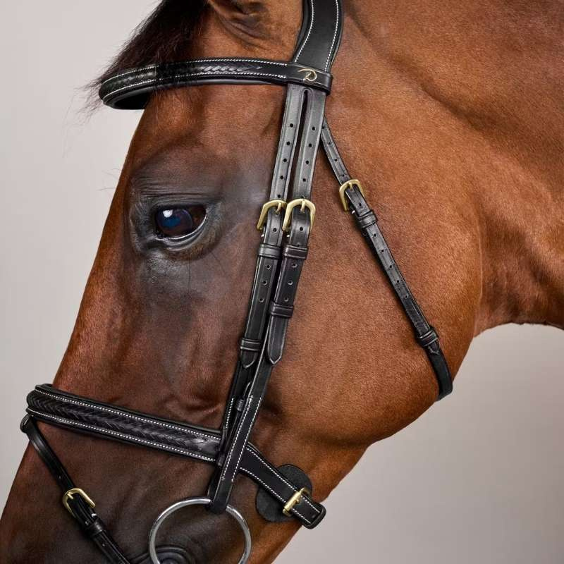 Hoofdstel Gecombineerde Neusriem Plaited Dyon Collection Zwart
