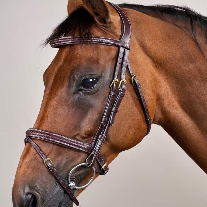 Hoofdstel Gecombineerde Neusriem Plaited Dyon Collection Bruin