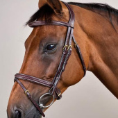 Hoofdstel Gecombineerde Neusriem Plaited Dyon Collection Bruin Hoofdstel Gecombineerde Neusriem Plaited Dyon Collection Bruin