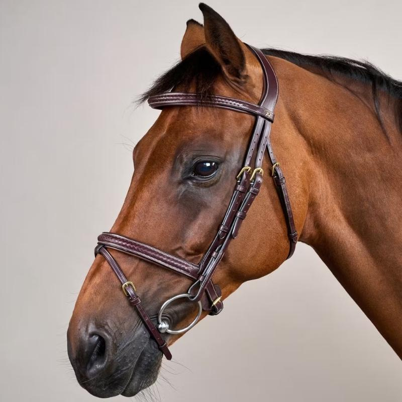 Hoofdstel Gecombineerde Neusriem Plaited Dyon Collection Bruin