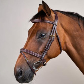Hoofdstel Gecombineerde Neusriem Plaited Dyon Collection Bruin Hoofdstel Gecombineerde Neusriem Plaited Dyon Collection Bruin