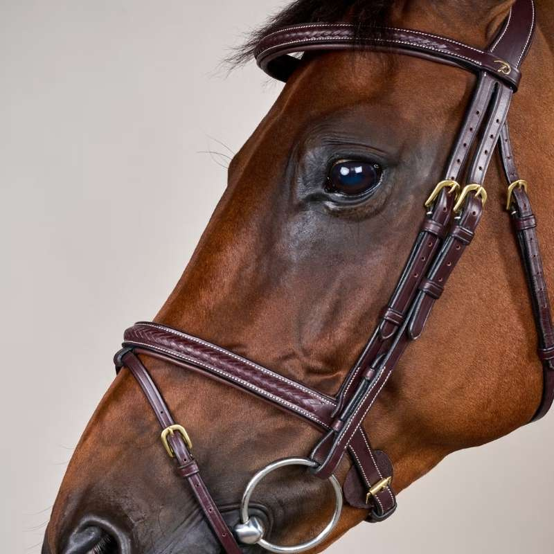 Hoofdstel Gecombineerde Neusriem Plaited Dyon Collection Bruin