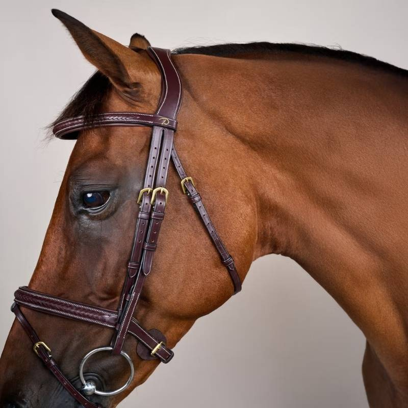 Hoofdstel Gecombineerde Neusriem Plaited Dyon Collection Bruin