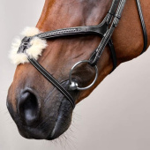 Hoofdstel Mexicaanse Neusriem Plaited Dyon Collection Zwart Hoofdstel Mexicaanse Neusriem Plaited Dyon Collection Zwart