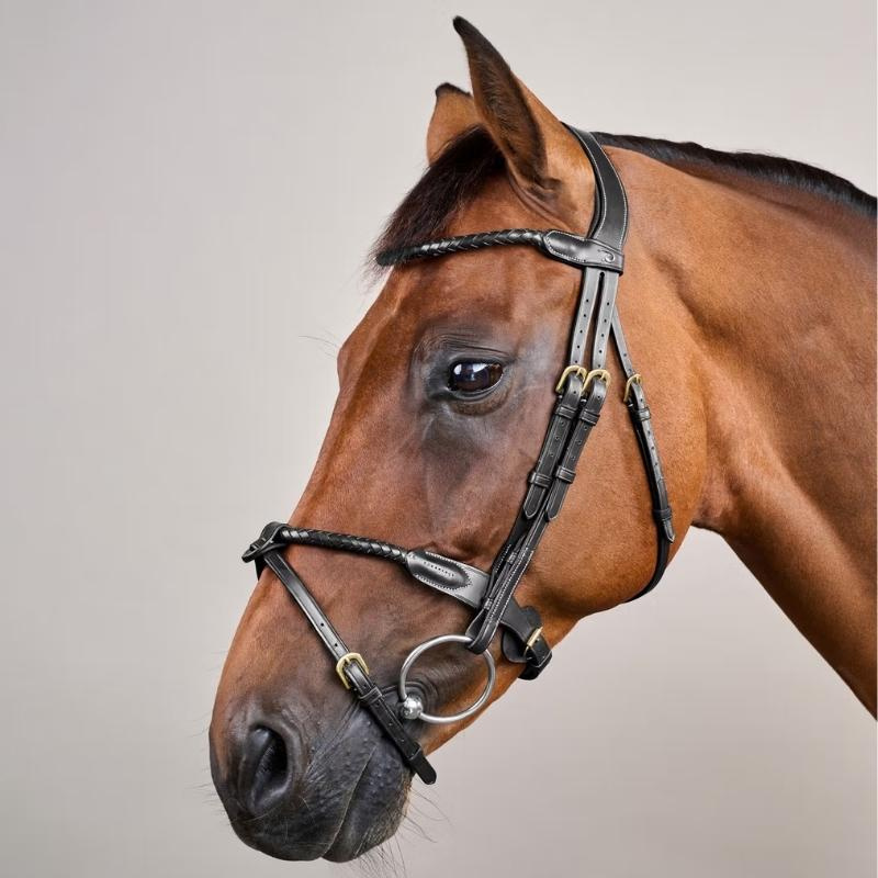 Hoofdstel Gecombineerde Neusriem Braided Dyon Collection Zwart