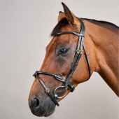 Hoofdstel Gecombineerde Neusriem Braided Dyon Collection Zwart Hoofdstel Gecombineerde Neusriem Braided Dyon Collection Zwart