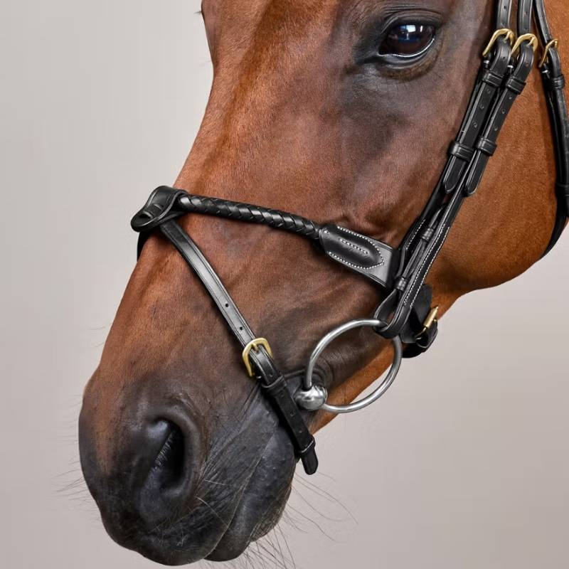 Hoofdstel Gecombineerde Neusriem Braided Dyon Collection Zwart