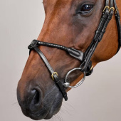 Hoofdstel Gecombineerde Neusriem Braided Dyon Collection Zwart Hoofdstel Gecombineerde Neusriem Braided Dyon Collection Zwart