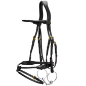 Hoofdstel Gecombineerde Neusriem Braided Dyon Collection Zwart Hoofdstel Gecombineerde Neusriem Braided Dyon Collection Zwart
