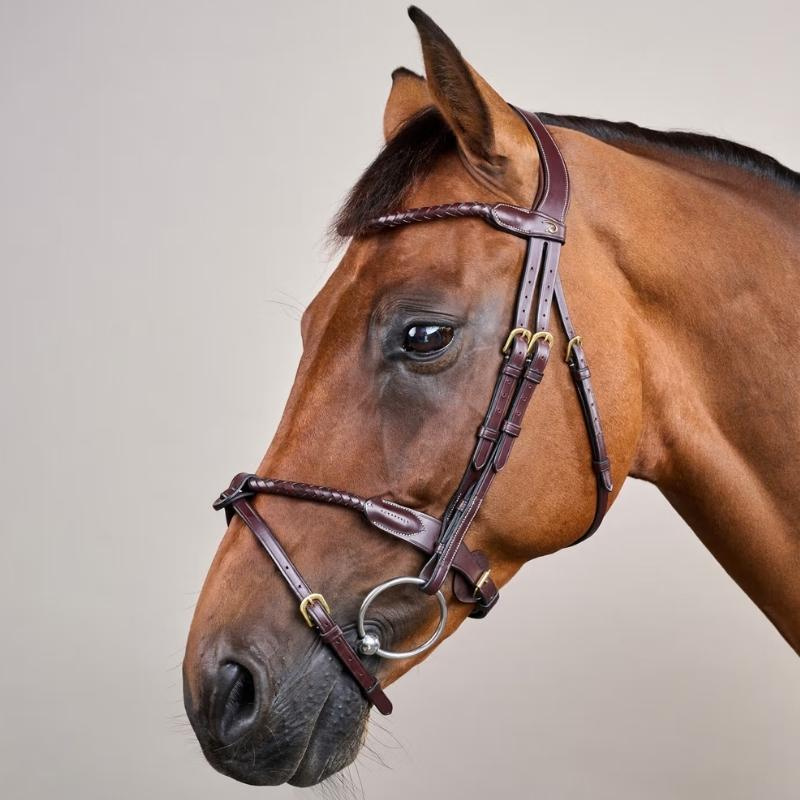 Hoofdstel Gecombineerde Neusriem Braided Dyon Collection Bruin