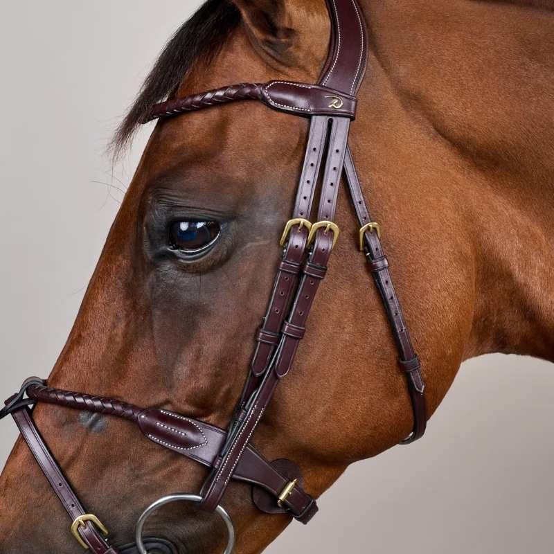 Hoofdstel Gecombineerde Neusriem Braided Dyon Collection Bruin