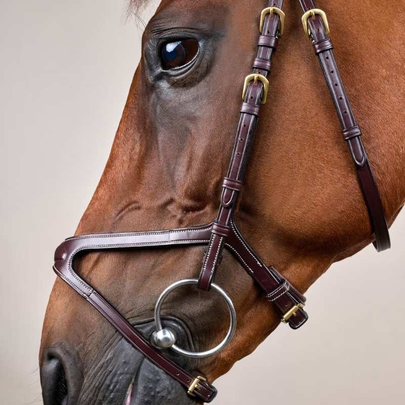 Hoofdstel X-Fit Anatomisch DC Bruin