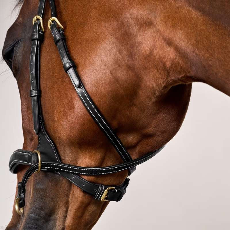 Hoofdstel D Motion Dyon Collection Zwart