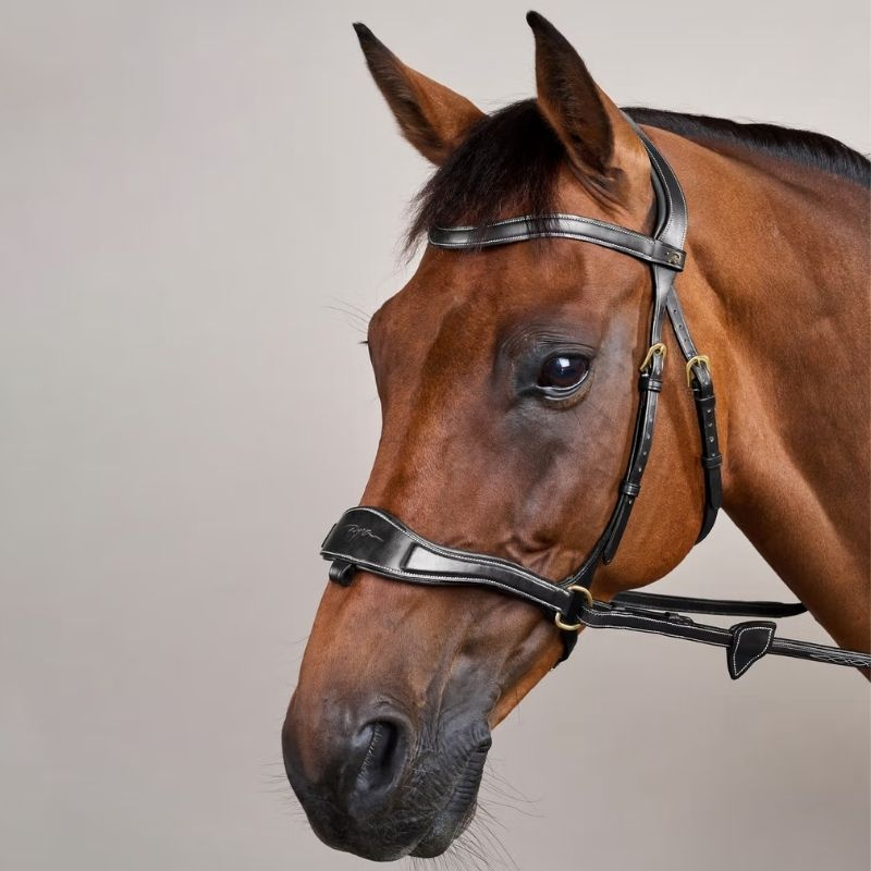 Hoofdstel D Motion Dyon Collection Zwart