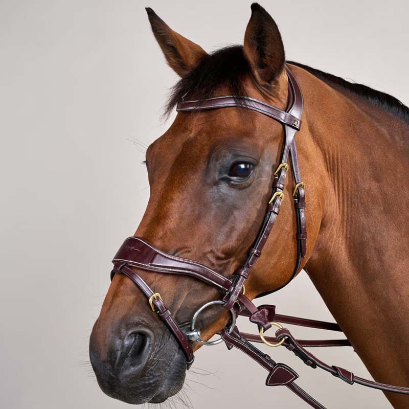 Hoofdstel D Motion Dyon Collection Bruin