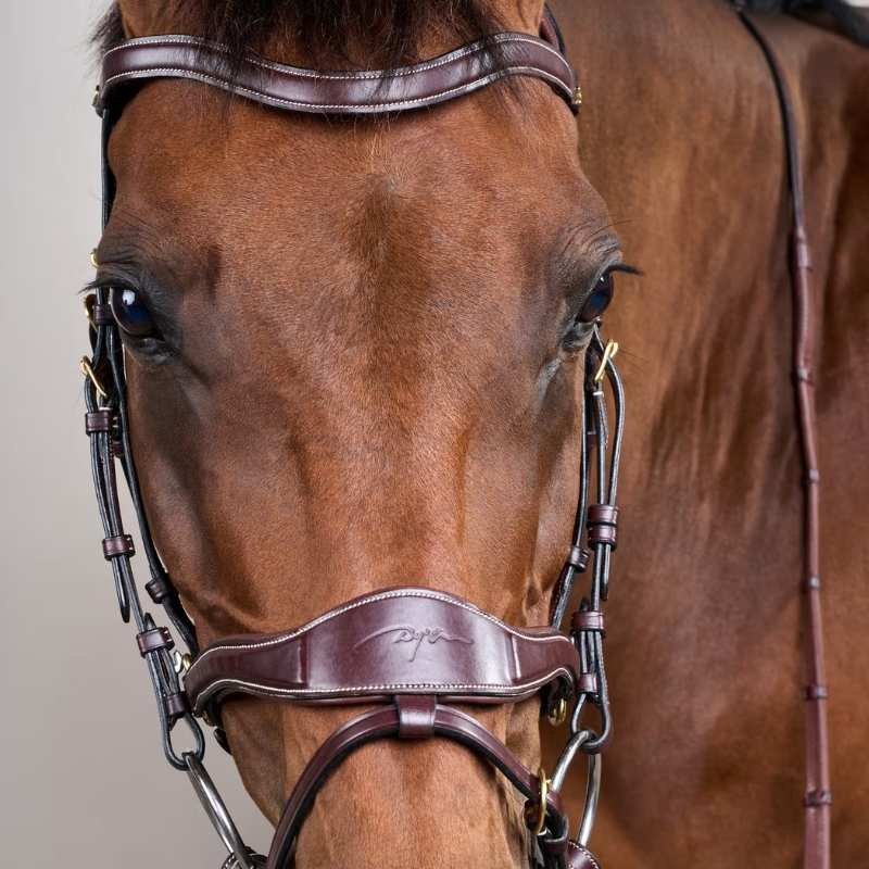 Hoofdstel D Motion Dyon Collection Bruin