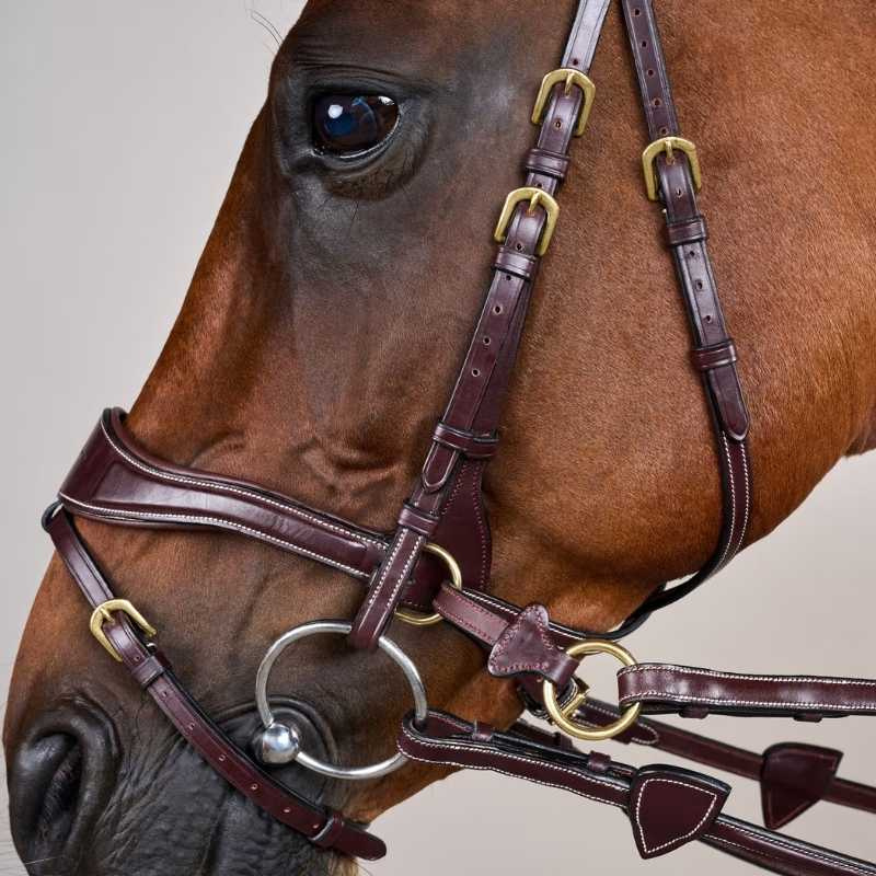 Hoofdstel D Motion Dyon Collection Bruin
