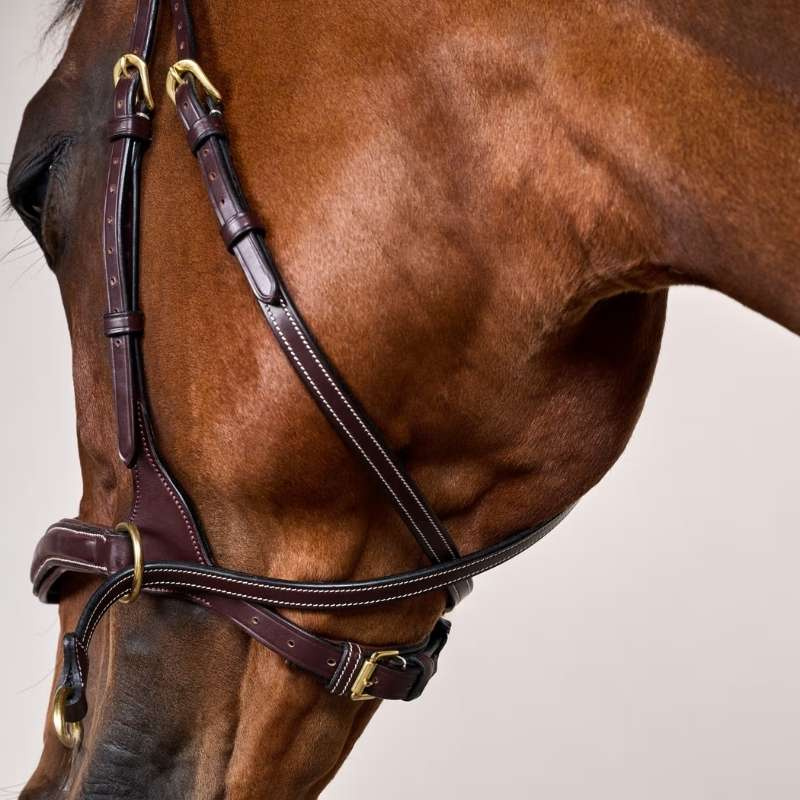 Hoofdstel D Motion Dyon Collection Bruin