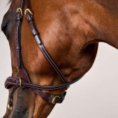 Hoofdstel D Motion Dyon Collection Bruin Hoofdstel D Motion Dyon Collection Bruin