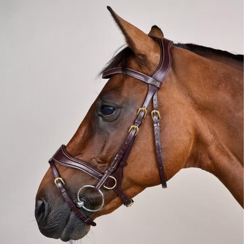 Hoofdstel D Motion Dyon Collection Bruin