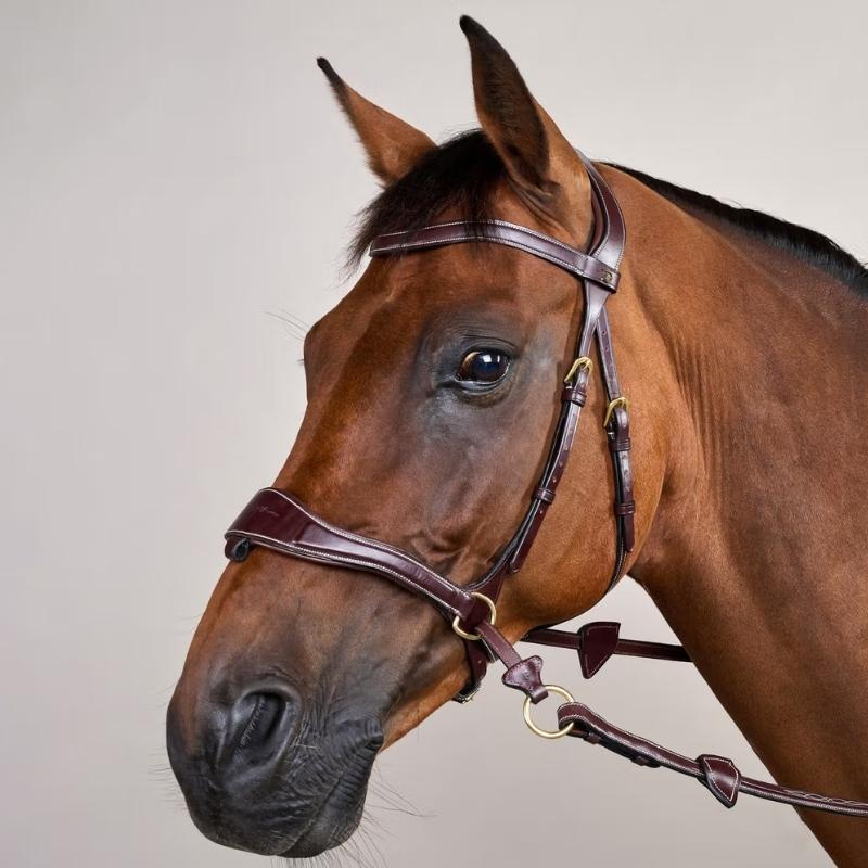 Hoofdstel D Motion Dyon Collection Bruin