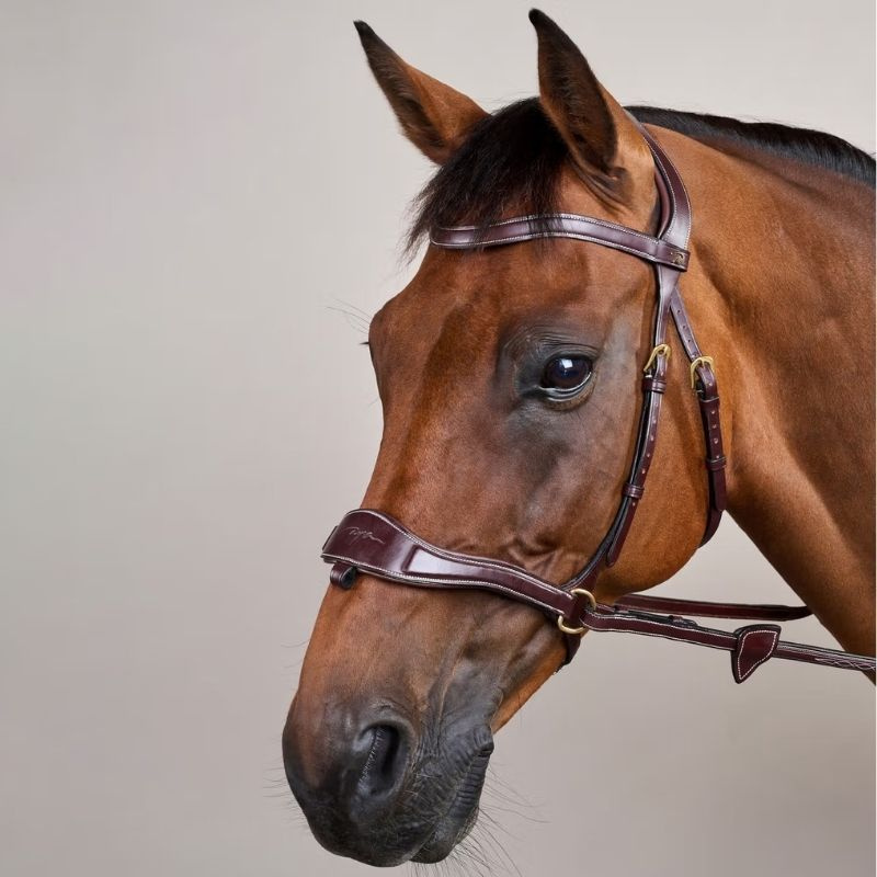 Hoofdstel D Motion Dyon Collection Bruin