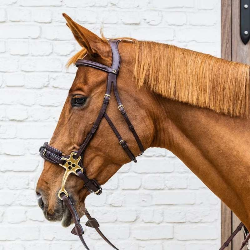 Hoofdstel Hackamore DC Bruin