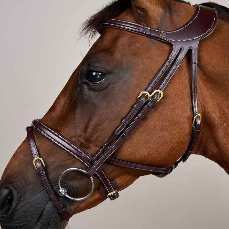 Hoofdstel Difference Dyon Collection Bruin